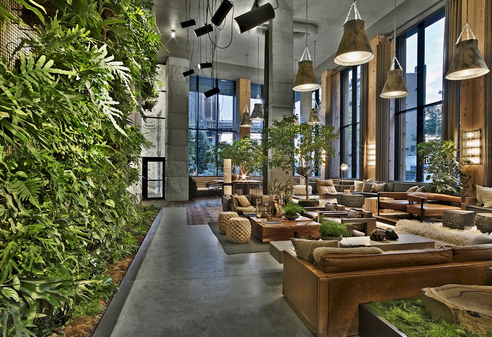 More than a Room with a View: Biophilia and Hospitality , by Patrick Burke