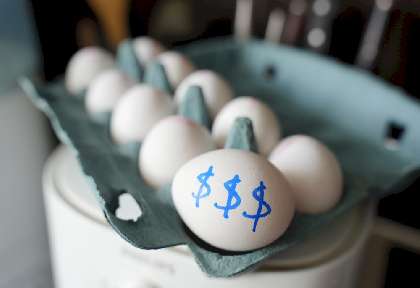 Food Prices and Their Effect on The Hospitality Industry 